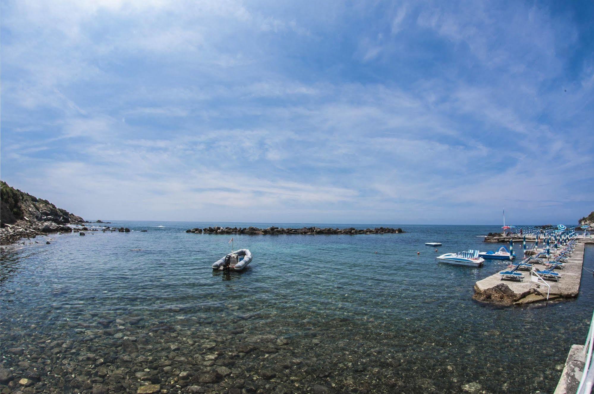 Rex Livorno